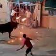 Bull with horns on fire gores man to death after being set alight as part of Spanish festival