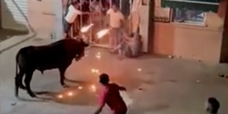 Bull with horns on fire gores man to death after being set alight as part of Spanish festival