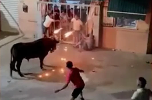 Man dies after being gored by bull with flaming horns