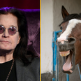 Ozzy Osbourne says he gave up acid after horse told him to ‘f**k off’