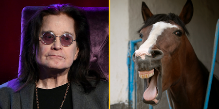 Ozzy Osbourne says he gave up acid after horse told him to ‘f**k off’