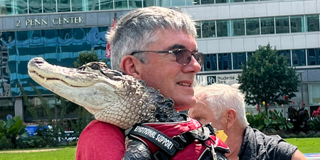 People are losing it after man is spotted with an emotional support alligator