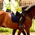 Met Police horse collapses and dies during Notting Hill Carnival