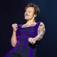 Harry Styles fan complains they will struggle to pay rent after paying hundreds for two tickets