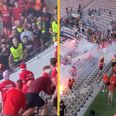 Nice vs Koln ‘to be postponed’ after fan violence in stadium