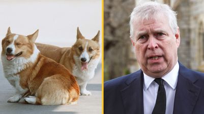 Queen’s beloved corgis will be cared for by Prince Andrew