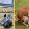 Angry neighbour tapes poo to wall in threat to owner who kept letting dog s**t in their garden