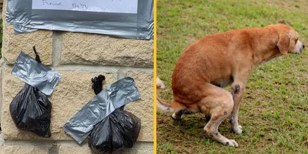 Angry neighbour tapes poo to wall in threat to owner who kept letting dog s**t in their garden