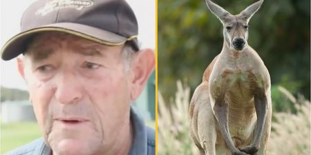 Pet kangaroo killed owner and stood over body stopping paramedics from saving him