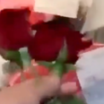 Vegans throw roses on meat at counter to pay ‘homage to the fallen’