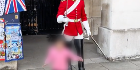 King’s Guard makes young girl flee in fear after shouting ‘stand clear’