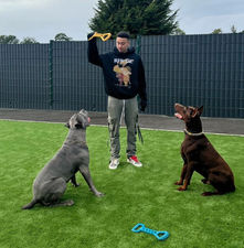 Jesse Lingard faces backlash for posing next to dogs with ‘cropped’ ears