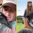 Internet sensation Emmanuel the Emu left fighting for his life after deadly avian flu outbreak