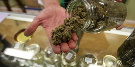 Germany to legalise recreational use of cannabis
