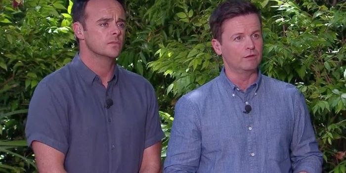 Ant and Dec urged to quit I'm A Celeb