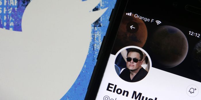 Elon Musk ban on parody accounts