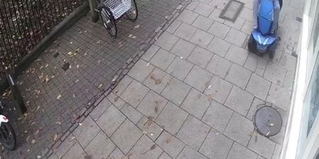 Manhunt after mobility scooter rider runs down pigeon outside ‘pigeon-positive’ vegan shop