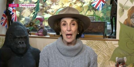 Edwina Currie wants ‘obnoxious’ Boy George to do more Bushtucker trials