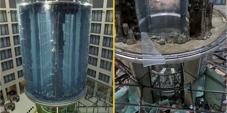 Giant 82ft-high aquarium containing 1,500 fish explodes in Berlin
