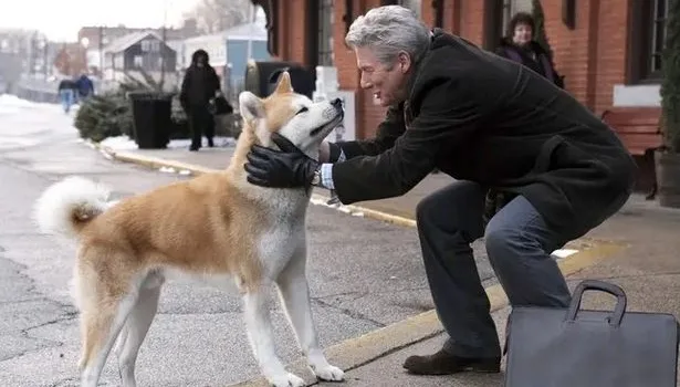 Netflix viewers warned about Hachi A Dog's Tale