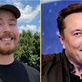 MrBeast asks if he can be the new Twitter boss and Elon Musk responds