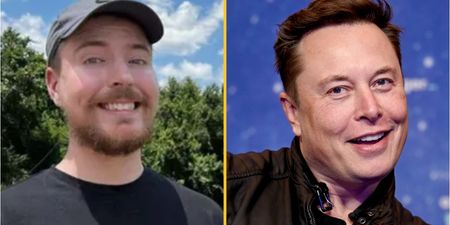 MrBeast asks if he can be the new Twitter boss and Elon Musk responds