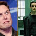 Elon Musk referenced The Matrix and fans all pointed out one obvious thing