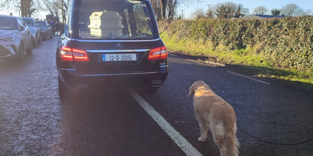 Woman’s loyal dog pictured following her coffin to final resting place