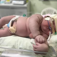 Mum gives birth to 2ft tall baby weighing a huge 16lbs