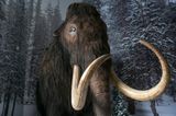 Company given $225 million to bring dodo and woolly mammoth back to life
