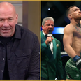 Conor McGregor’s UFC comeback finally confirmed by Dana White