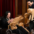 Keanu Reeves cuddles up with adorable puppies during TV interview
