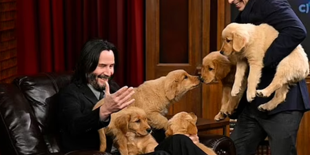 Keanu Reeves cuddles up with adorable puppies during TV interview