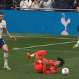 <strong>Brighton should have been awarded penalty at Spurs, PGMOL admits</strong>