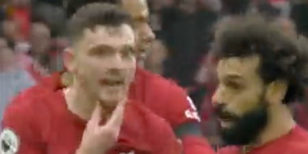 Andy Robertson accuses linesmen of ‘throwing elbow’ in Arsenal game