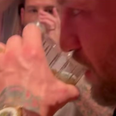 Fans concerned about Conor McGregor as he swigs whiskey and waves around $100 bills