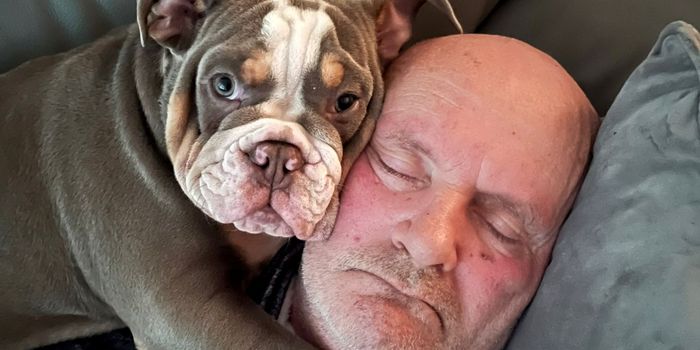 Bulldog saves owner's life by chewing toe