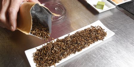 Students at £20k-a-year school vote to add insects to their school dinners