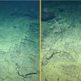 Scientists find 'road to Atlantis' at bottom of Pacific Ocean