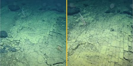 Scientists find ‘road to Atlantis’ at bottom of Pacific Ocean