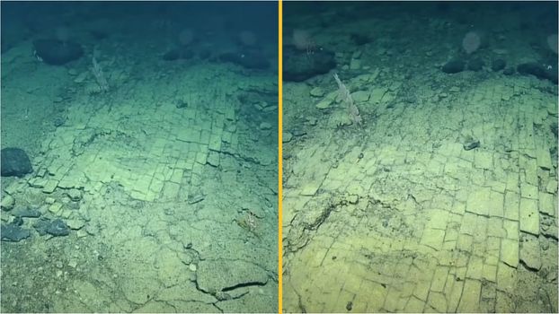 Scientists find 'yellow brick road' at bottom of Pacific Ocean
