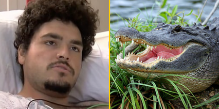 Man leaves bar because toilet line is too long – gets attacked by 10-foot alligator