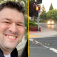 Dad killed by car while helping family of ducks cross the road named and pictured