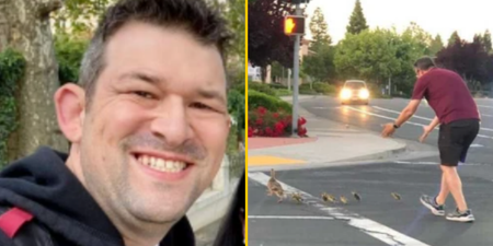 Dad killed by car while helping family of ducks cross the road named and pictured