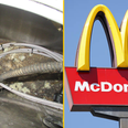 McDonald’s fined half a million pounds after customer found mouse droppings in cheeseburger