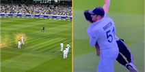 Jonny Bairstow carries off Just Stop Oil protester following Ashes pitch invasion