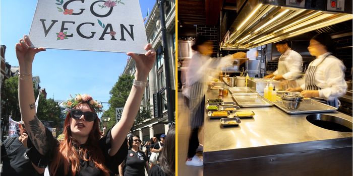 Chef bans vegans from restaurant