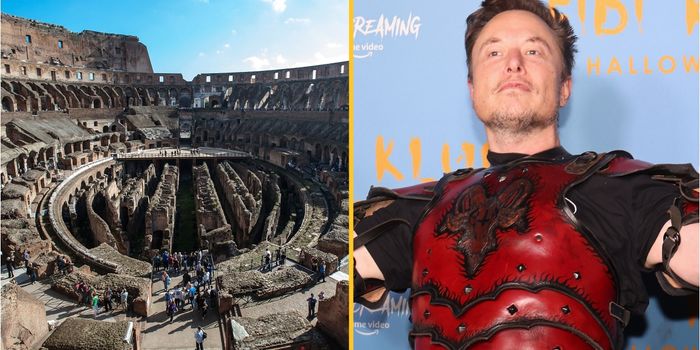 Musk v Zuckerberg could take place at Colosseum