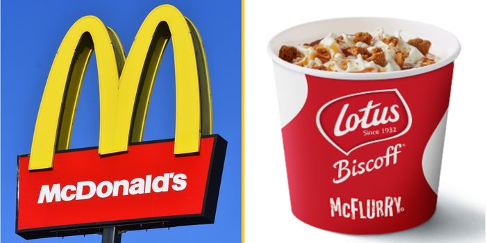 McDonalds launches biscoff mcflurry