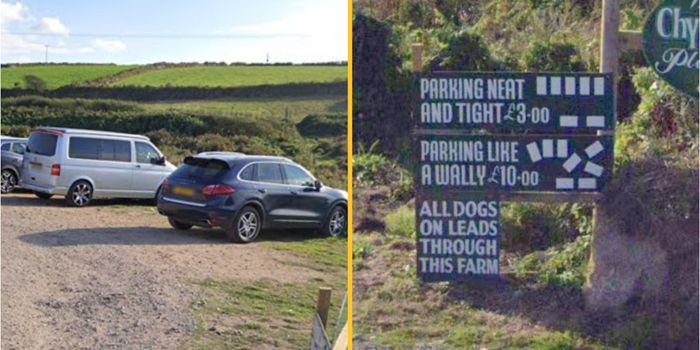 Man charges people more for 'parking like a wally'